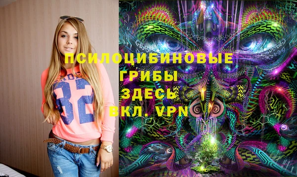 прущие грибы Алексеевка